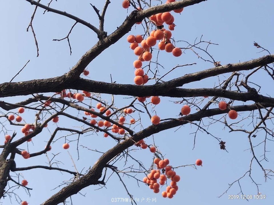 O6T763-vlCWNyPlMdzWlNPFD5BkKoo7OJTw6kBVGnklzegxXy52c7Acm7Q9ExxuX