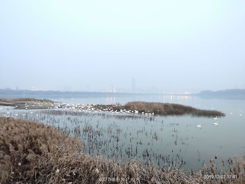 u_1_21rCK5UdCi16z5NLFqKPmlrBeZ_6AylA4_Fok4YhjDcWp5zVbnRISfy7IV4w