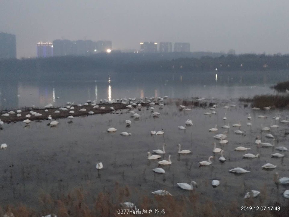 SFgEp4NipwAmMOpLSY3gGQkzH5ogZ9Ljj4DOnddkOMnPM9ZUltAQUW30sHskmLn9