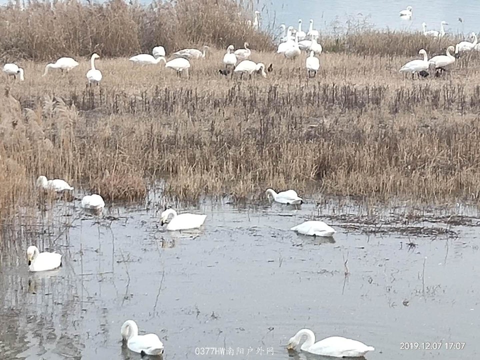 z2Oi6GDd3SwUPHLUGn4w16nieuVgsmWuIfF6NJ46fi9s1nwoqQsh5_bNPCeNnW8Y