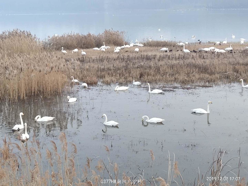 gqsO0oIzL8y7AWsGhLUIp1nii5gcU2IYN0kuXMc3BPDevIOK947mpov4VJAMetOK