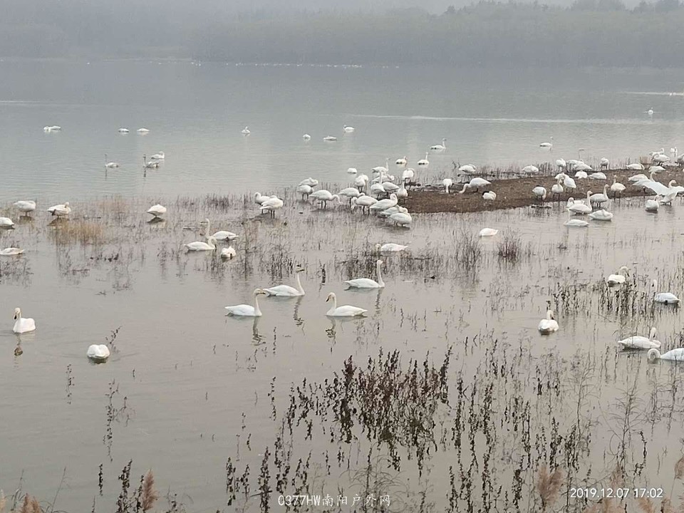 RUCdkb17U24eFnBuvTfoJZ72MxRTs8kBsG_UYo5LRFWratQIZbvhq1WvoK-1H26g