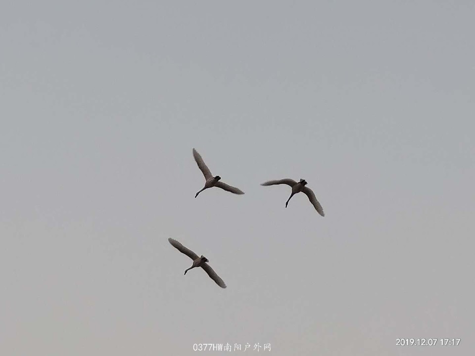 5a3KWCuX-7088qq37LhNSI5tXRBavjj-bMP9ZAZyaXdg7OmTMp1O7AgHikIebrHb