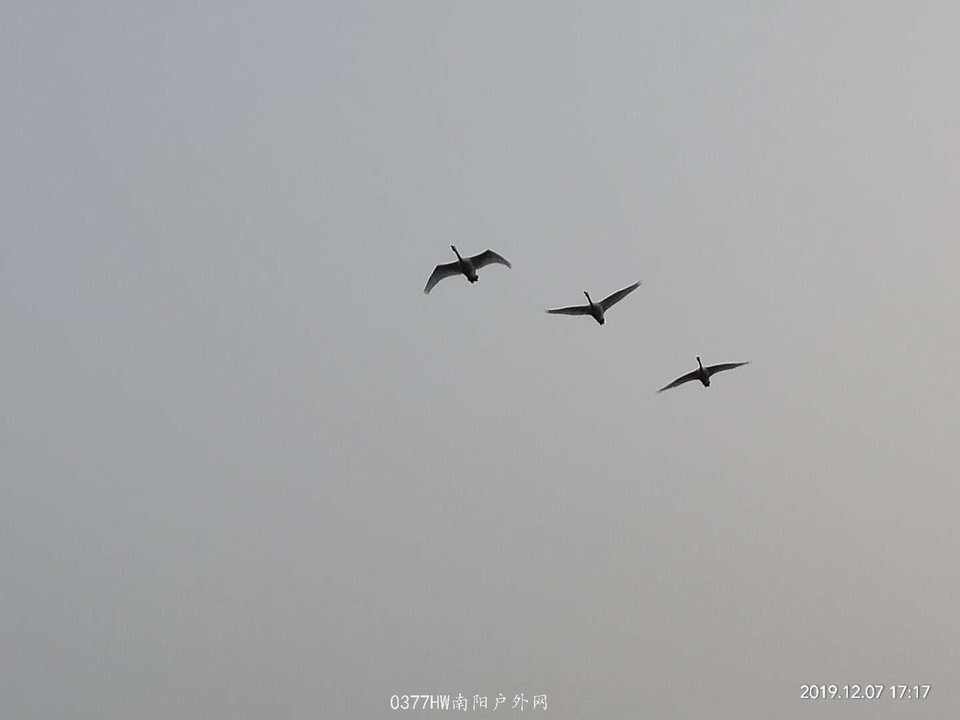 3d_i5eEl3P0LQDgo1emMtJumnCK-0NjeybFdDf2a1_L3GV2M1qaU7gkwV99b6A7d