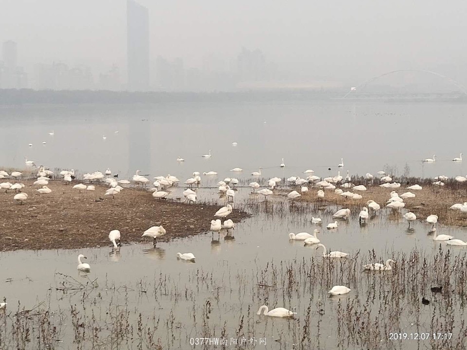 Z7-zfVtW4v8sW1AXrKai4fEibEXmjPr8eXOTApYxEnvLqfYmmF7Zamo4DBFQhN_n