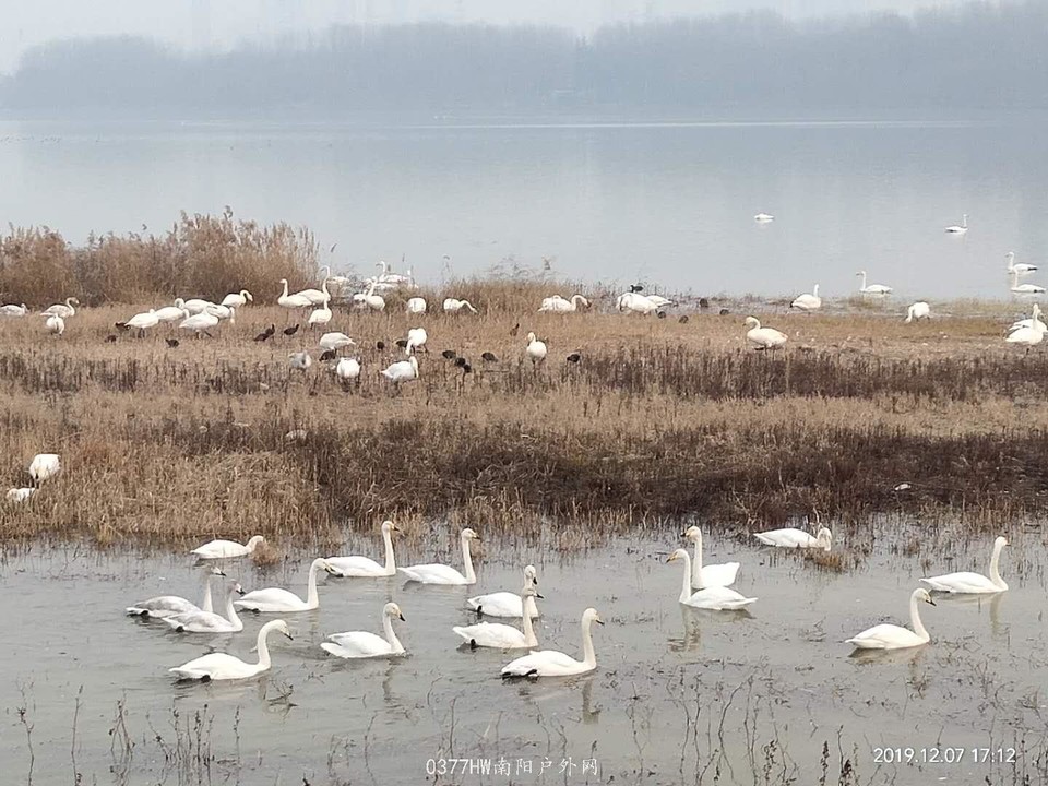 Ez9C3nayW2uLaVxsHyFFHn-IpWN_yB5NfZeLblBU2-WR9nUzMSPQTwNeCznnBZ7q