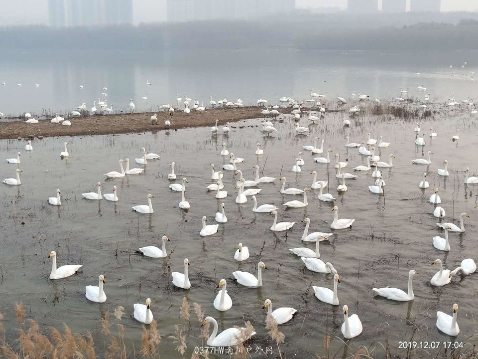 OIE34TzU79ev_I_qd3-uFWp0omnozRoJ5tB4Wi47NqMebBSqWMAwSLKyy2Rq4kLG