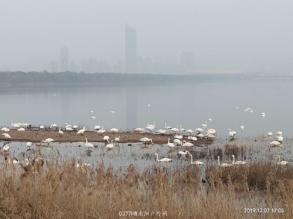 _5RNePfsEHCplpXs34d7NXaDM9rw3ogb-8qOr-IaEQX_ns3V3DPAao1F68TalIaS