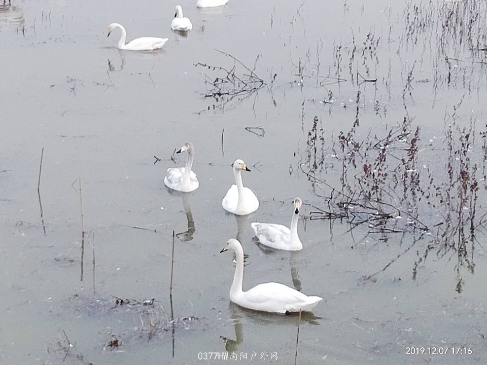 hUURdL5ORYmR0XyEDRvpw2xakhIsmXLlfwUztn0ny9N3yEUg_jvIviPh36QJeTV5