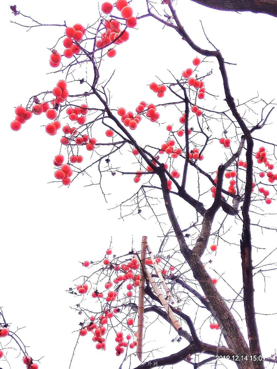 _HYLtE42eMFFFISHkEZlQ9_ZL50YaOP6ppfVdoixTFqMih0d5-aZdLM0tWgUKrcR