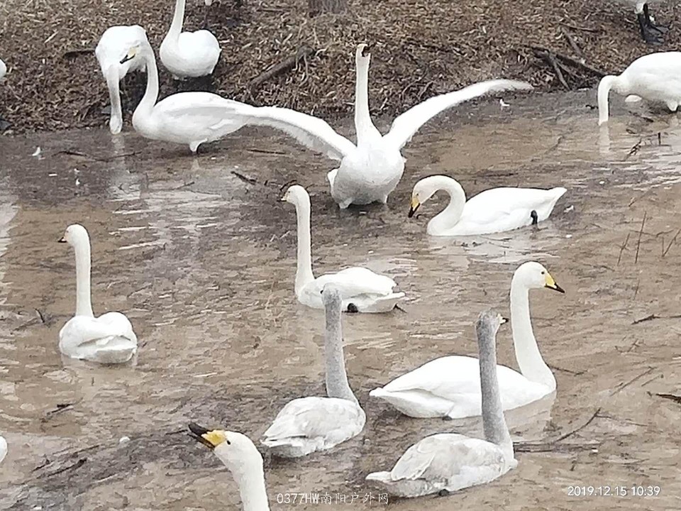 VuMW0xLmfnq3CwixykOfACSav7lg8ElA0yiQJOaK_ltaO5vdP_njAEdB91_aEPM7