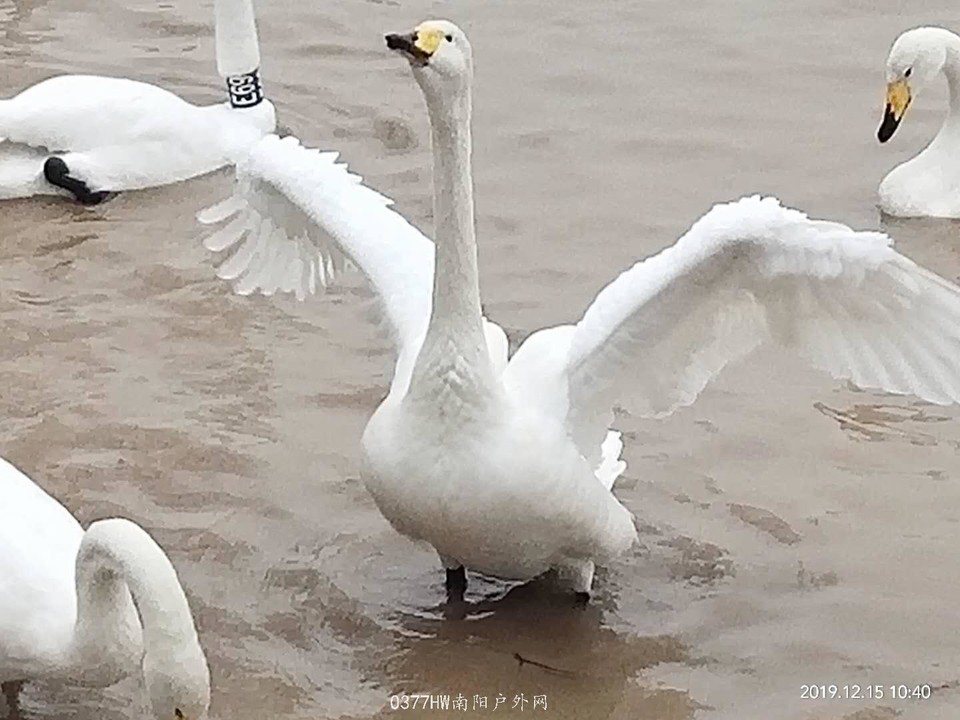 QXMqVE7Vj2SWGmKyBoE4Mn55myO9MXUM8LFUP2RC6RkO_AJxj7uXmcAfXMiKnHnN