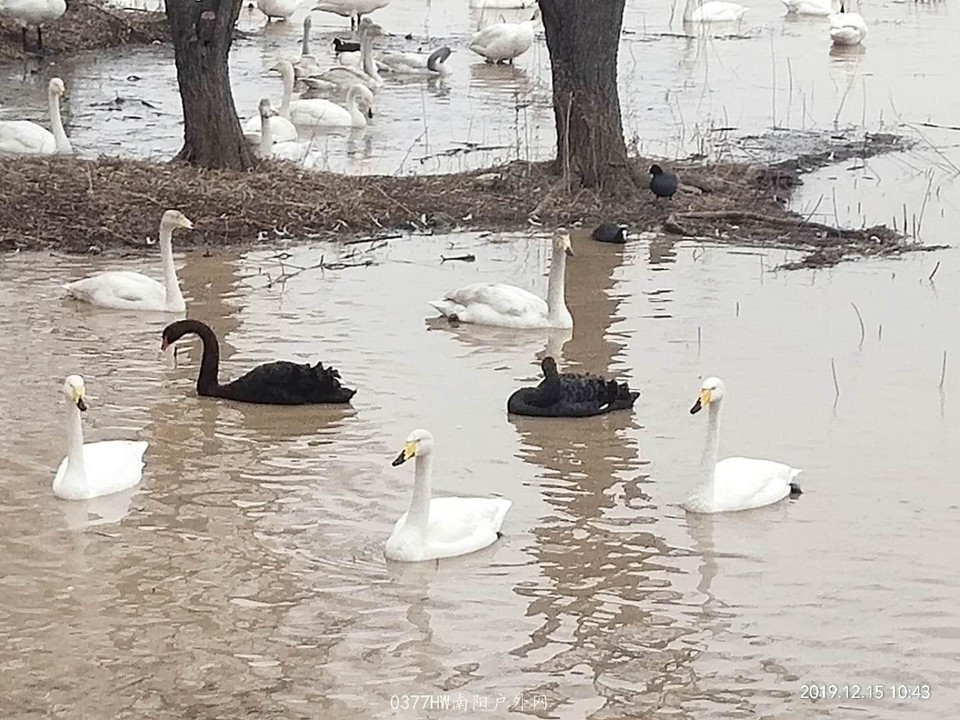 qd0Rmq_RPI-A7g_69Eb8aJdK3sXMk6YTRcDsCGOz8xSZoTLXKkk_ylzkgvrk5il_