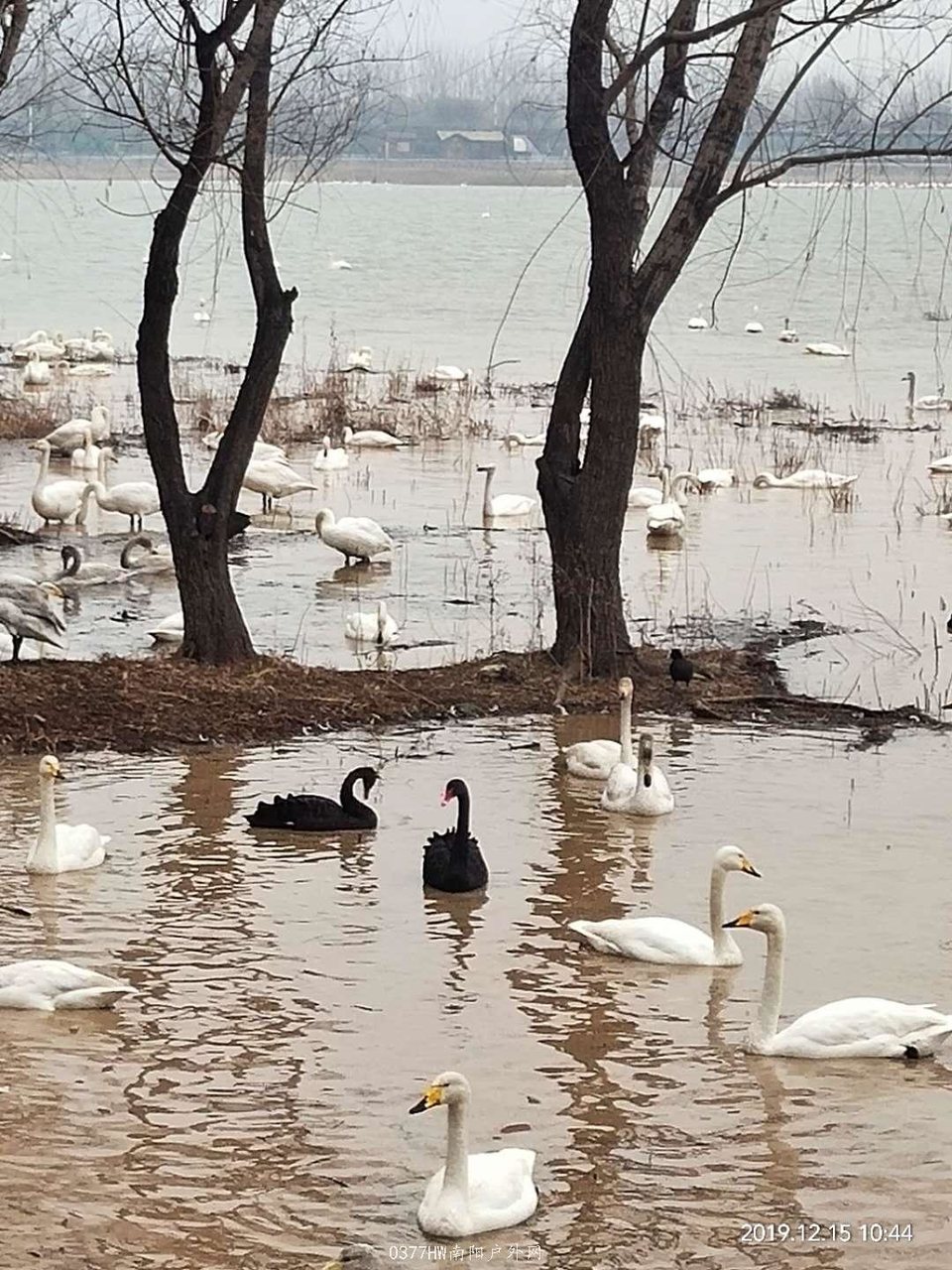 aqw3nt0KJgXqhMsDmGyCEpYLL6S9hO_ev4dVVVBFyKHoA7Vy4LlNPcHJb1dGdU30