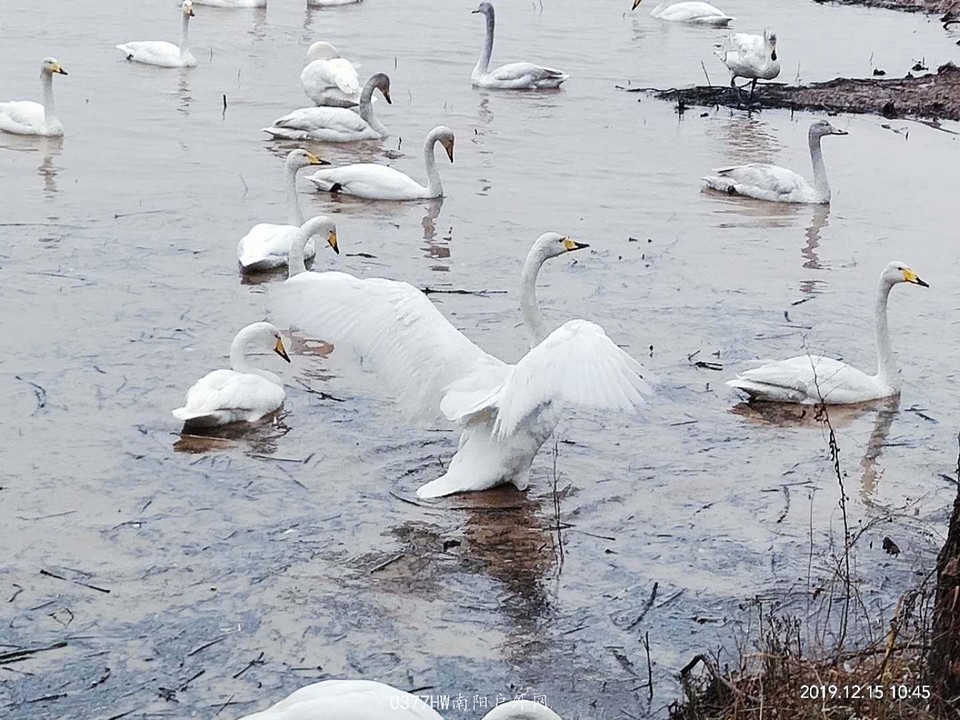 5NmhIfyrLi8I-uumuOuHDmjTnIanQxIZrQ6-Xo4z0tmvwG3fb6KcBUcTdAMx-zqN