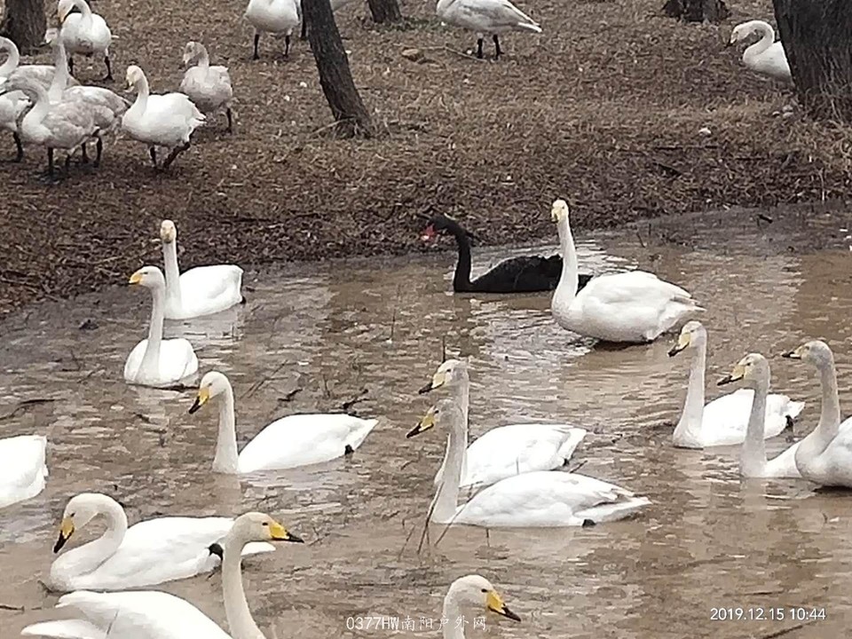 Fn1P3PrEGXYp_883oQvjXANVUsDAOLoqh_UMlCXsQB26FWL4lV1OIITqZon0NOvJ