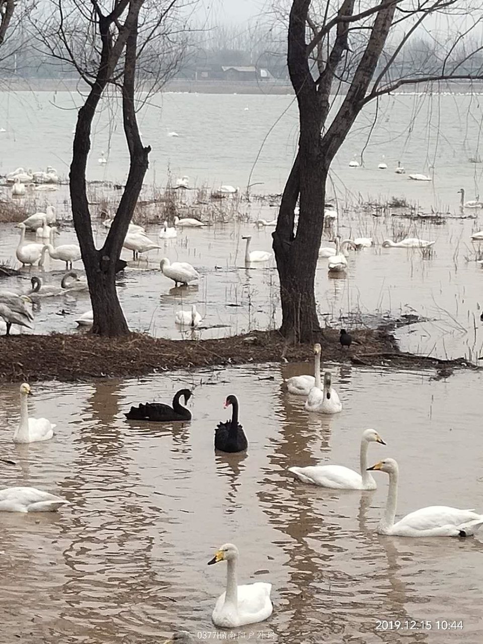 rJ_CwglNGXsXKpyqhaUQeRk4UFezGQ-FgQ_74XG01w9QfLUhpWxdZ6-Wgns95zpd