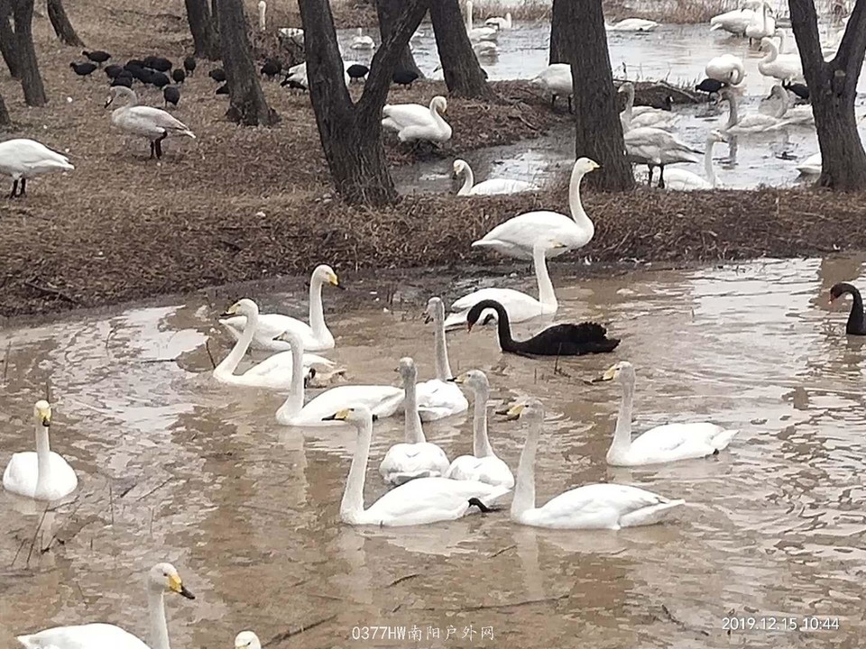 dlsKGaHBfWRTI_1tNptChPN-tF7IA6a7mBBz60F3yENJzI3GgfpWQhwS0oSmRIv2