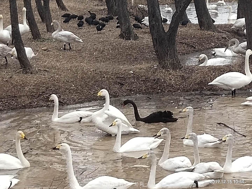 DPJwkGrhHq_qptXgDBnezm0Z9oYzmsCmSewu5hDkYsnJ_-YymfGXLipWlmm9-X8R