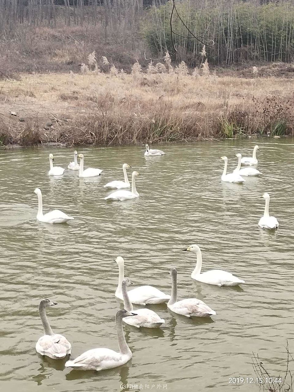 yhfRNxYQkUoIOAWsbz6Byzj5GqoZxCJshYCkgHu0AYUqroYsFeSi4Q2HaZR9acXW