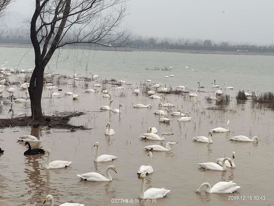 Wb2rZxlKAhFj7ETA94DEknGdDnMYLGAuUJEJrmJO3jzeLMWEG0H-rY8yF_hBefNQ