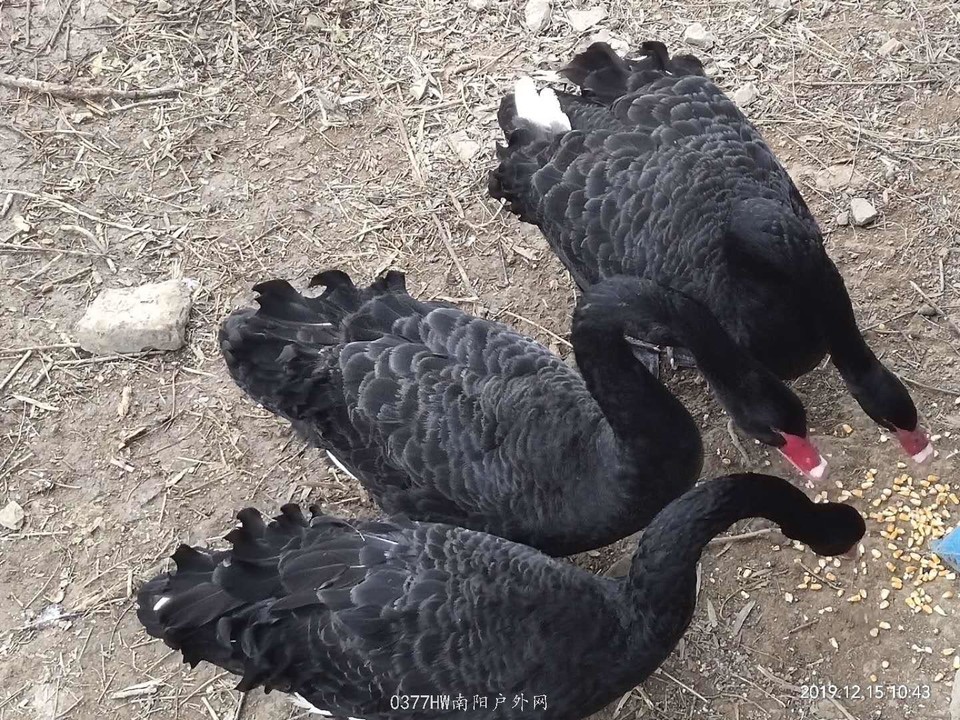 V2fK34e7yhemELeHCR1h0RqEY2nu8hKeZ_48IFEL-VOQFRnyDg3nRqN8KHuArO1Z