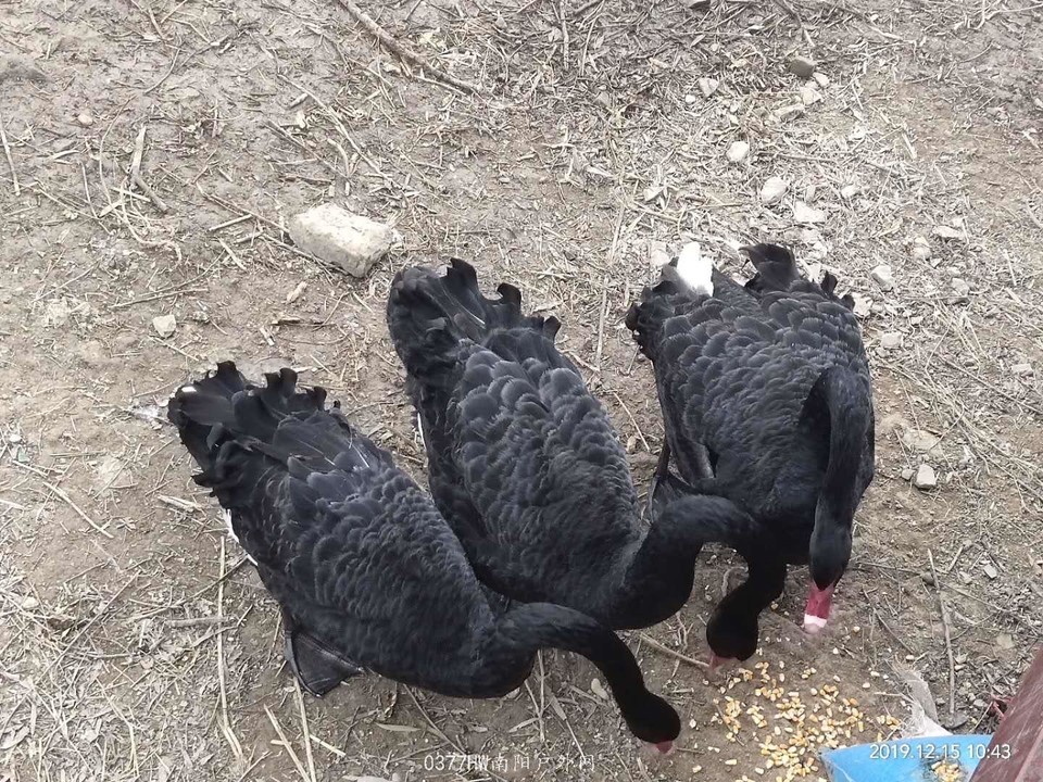 -a_9lj6XTfSTr25hLlLu7cOwBGsASfJjHwPlLgRByLlu90hnfV4x8l__Kf6fWkvF