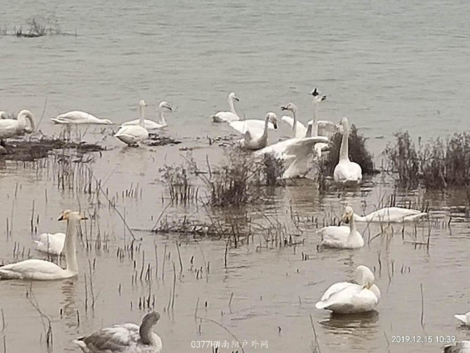 jpPAQmHlWIdEX3UC6uXy-YKNOCfyMRINjT8vE2ofBhqM_VU5uJjt0DzVCFriDIQ_