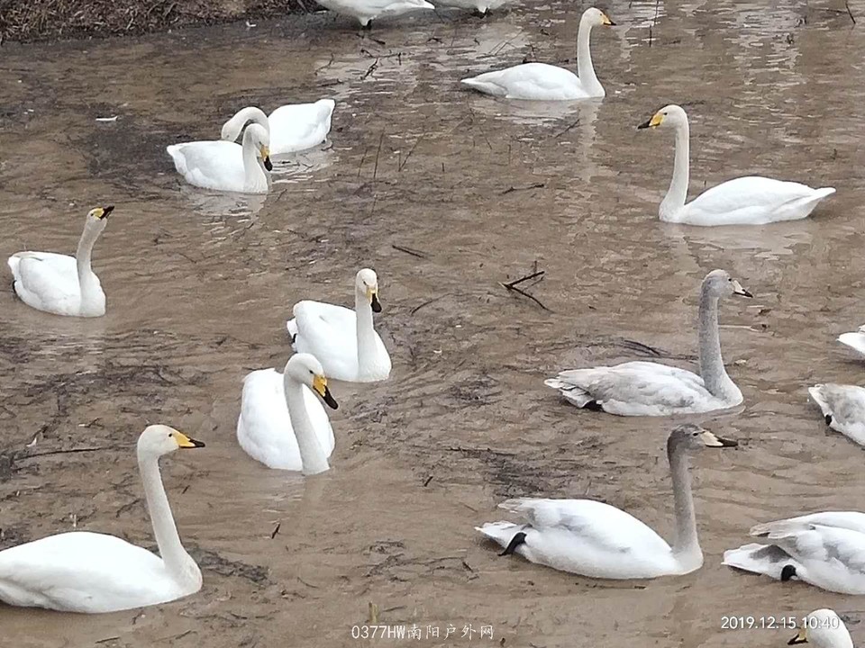 RIYhgENGtU9GNAo8xWQeyeXwEioIRK_cVm-UgL2GrxczZDvSd8cY2RO02E9UlQZQ