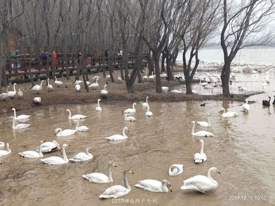 PRnsTNA_W6DkXu7FurnfbeKQPhVRRVLFhR5a2oBrMFmoobIyEpCYogvHWWmwJ6sI