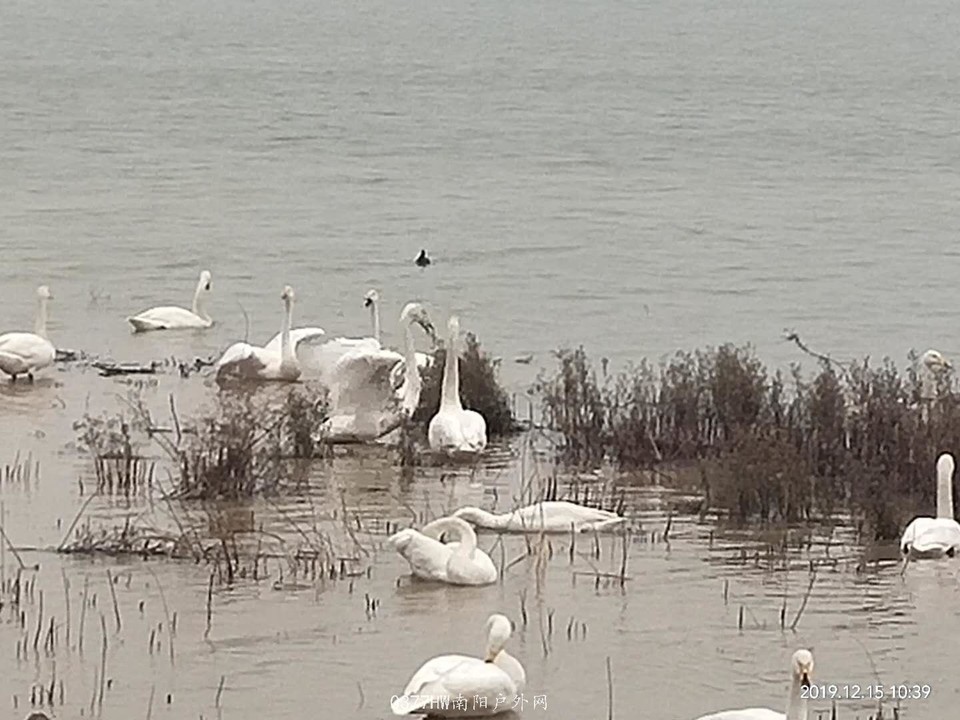 U_yVNh01YGlug1qR3V3FWiDw0OVu0FwiVn6UuHwCWB1Zu8YxyAyEF9tFAQc90Q8P