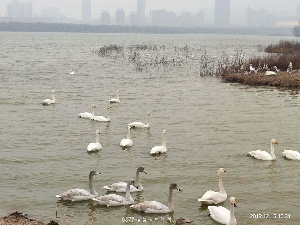 WVZj0tFEIwCVO9dakzOPeRGDI0xVdQf1wy7kkEWGUgPfGRAw51knA9R_KmRwOH_6