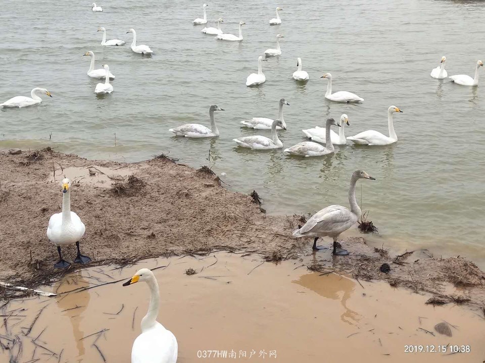 rAWdRKCW3-1YJ8i3alZc6UVb75z39JRYeT03d54LrUH_RDEsl4LbbfC3RVTe97sY