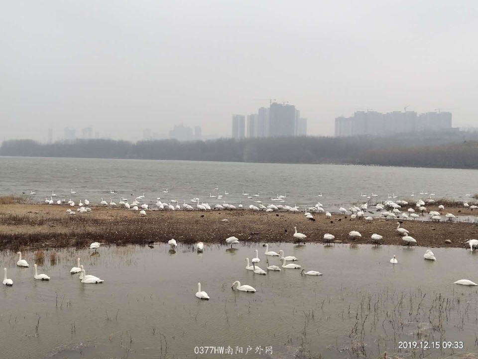 qV2V4kY0CfFtE9HzmP9TLjLTmi6gErZkX2OPIuJWwN9FCFn3UyWc98fhToQnq5KF