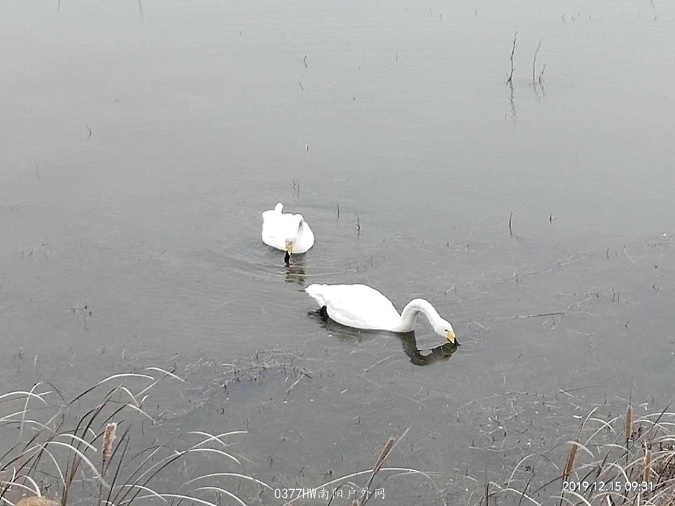 5omBFUNZqTtOWyAW7JztN5l4IVAyxHlE866KDRY2nkl9kfSelJBTStOi2HgQVPJn