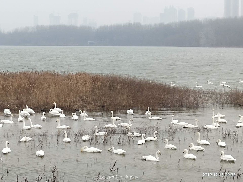 zPqCRq0divQeenYRGD8b554mrLWsoxeaCDwklwWYAiXneHBeHDFNPNHYMq1jNMnh