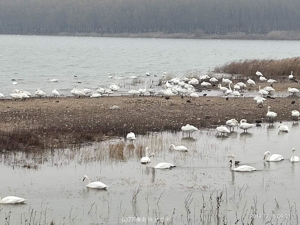 TwkxOjjXc1pb7pqzNAl3s49IB7VOkLrkfKGqhjYKM6Vu3lnISgKKFvayQu4prU54