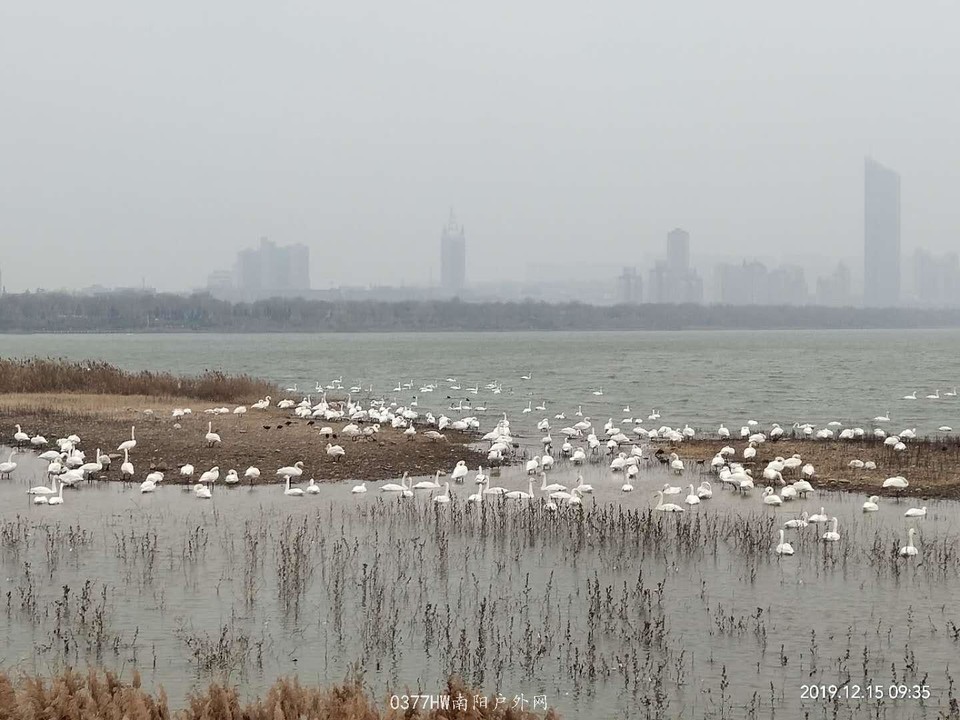 hUGvm5OHqV8aMhYntUoe8ZYJDTGCaDZ2EPgEdTs-ux6UzNkxoTGgt7LzvOYPYZ7E