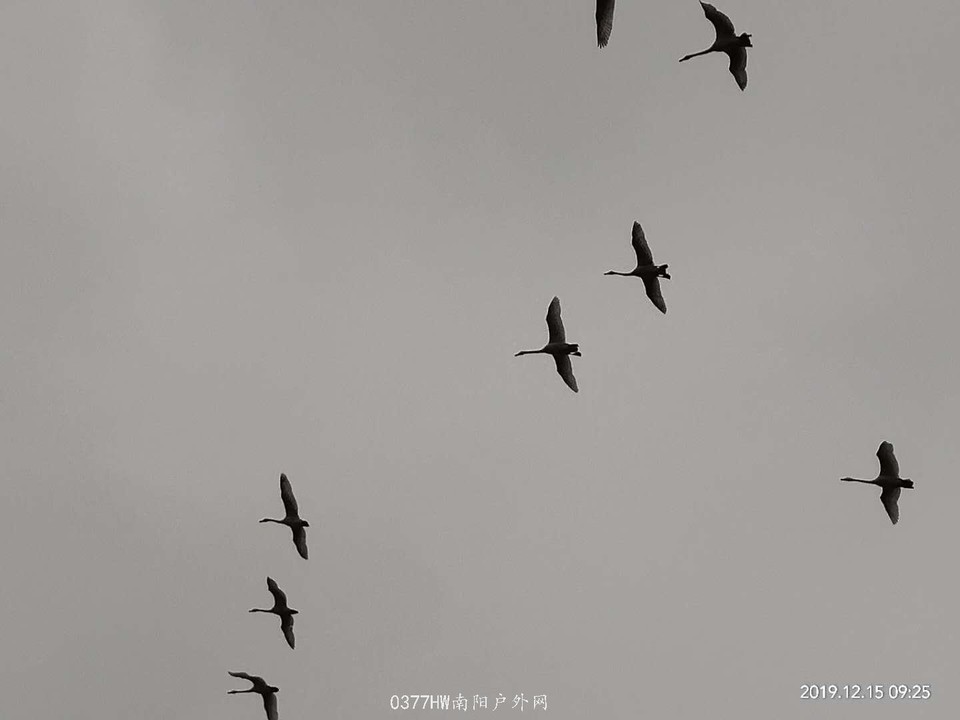 WJfwbQ3rrB_zTcC1jhUv5q3Kuvgj_esw-HF0p_j1ZpQNS2QqDs8UDfjyEpj5olEa