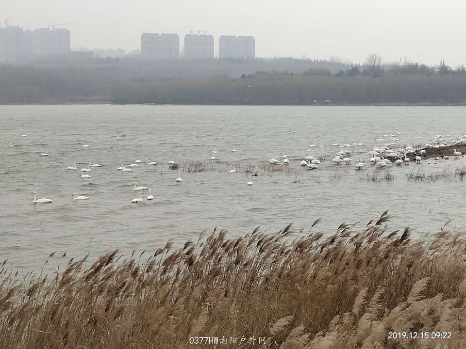 gidRk_52wNbRrPf5m7GOiA1PNVyrfCQ60_sMtIAY3gJG9NyOYZhh9zUu0LIXc-c0