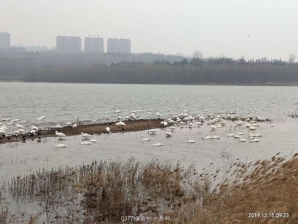 2vzhQzIaVHKk328P_p0bz7vKs7LnzWFHUM3-U5A862AV1AD4BUfRBTJ_tUeoTooq