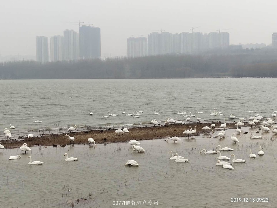 sv14iQTc8W-Cin0L5c7tLrzt7K2R6jEfIww_EBgEqwELv_sBFuurTecKyhToXyKS