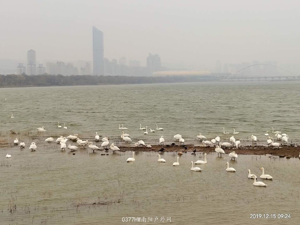 oQ_AgN0fizRHSbqhl0Exe0YB2x6tbxm42NCQ2bjIP1p0NJv-ndBMaCTUQ9o4xlL9