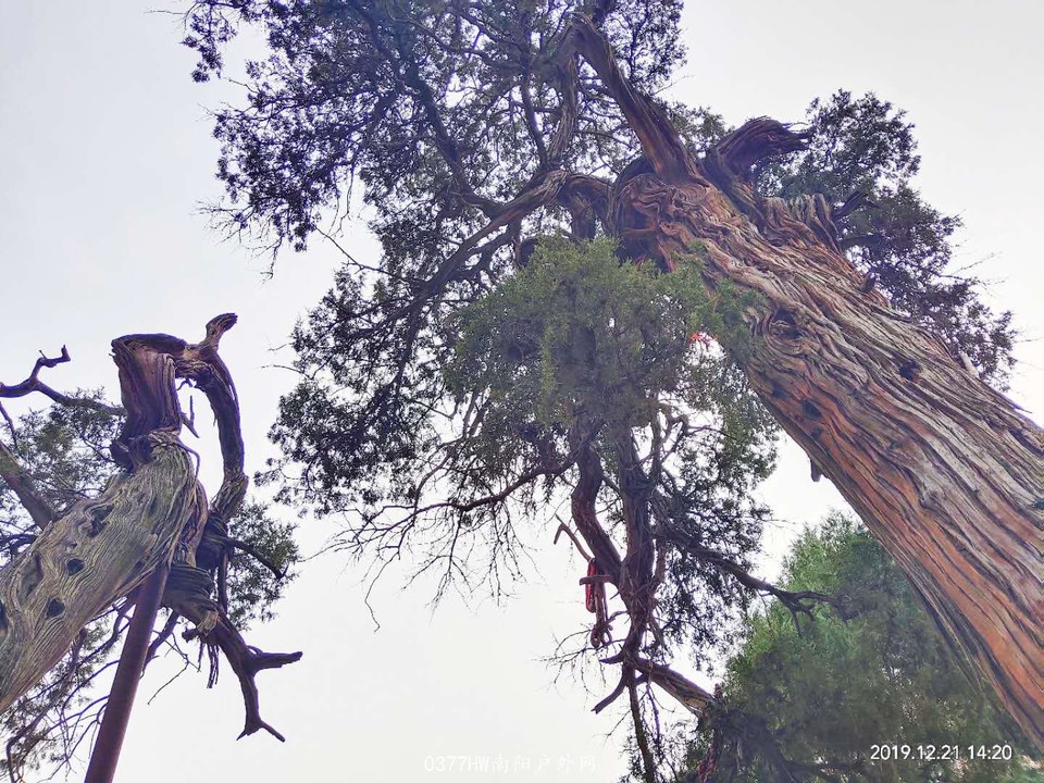 2O2KhdTuHguTvqjFYWnt0MF7PmK7_kGsz-84_NSm4i-FOYQYQMwAjZSvCrkMok-G