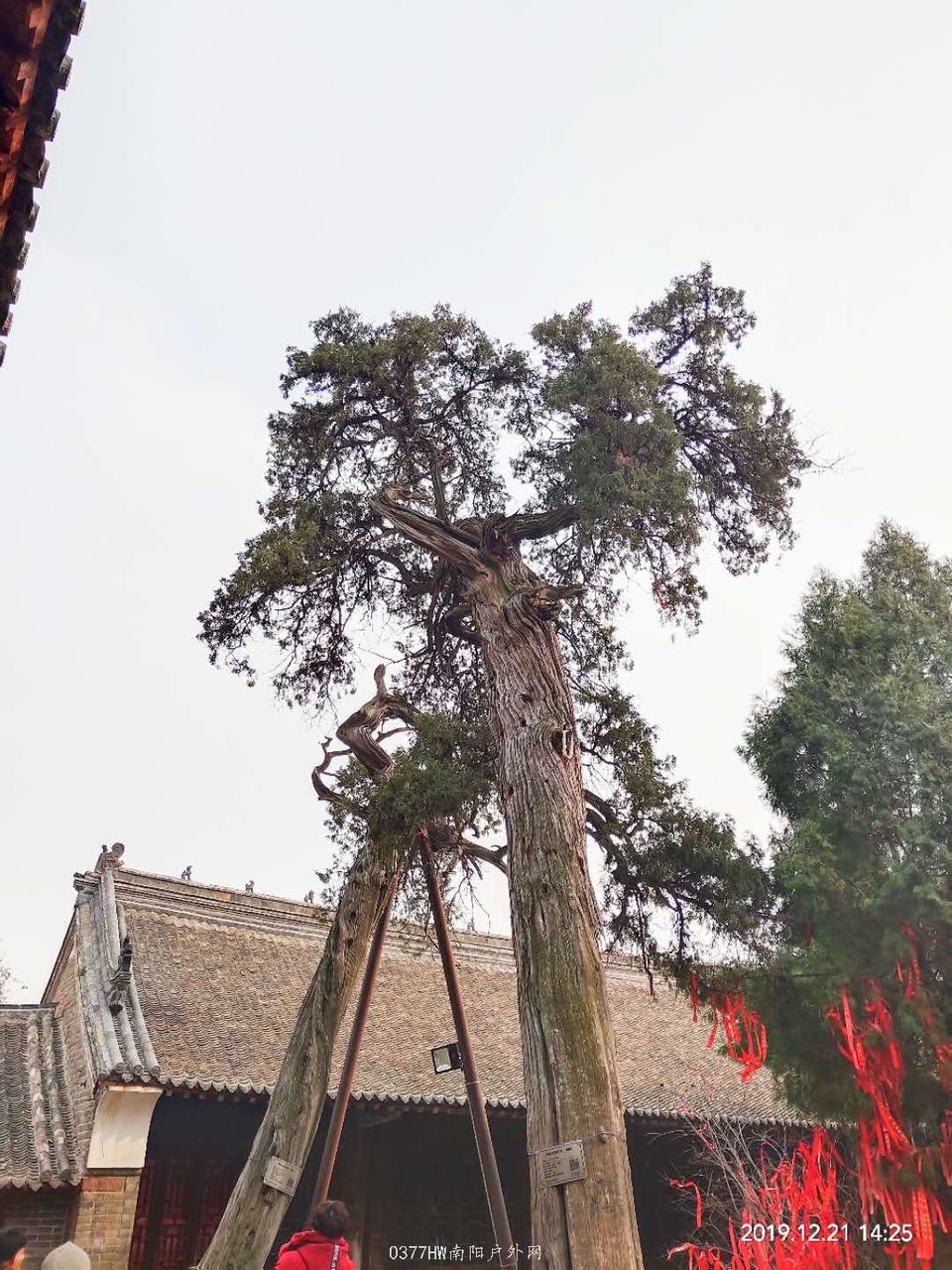 id3IiXHL-C7OP0IDkIvR-zLVLq2HwPkHxGMnn6tI_udOY67EaRoCYGoloZdsumkM