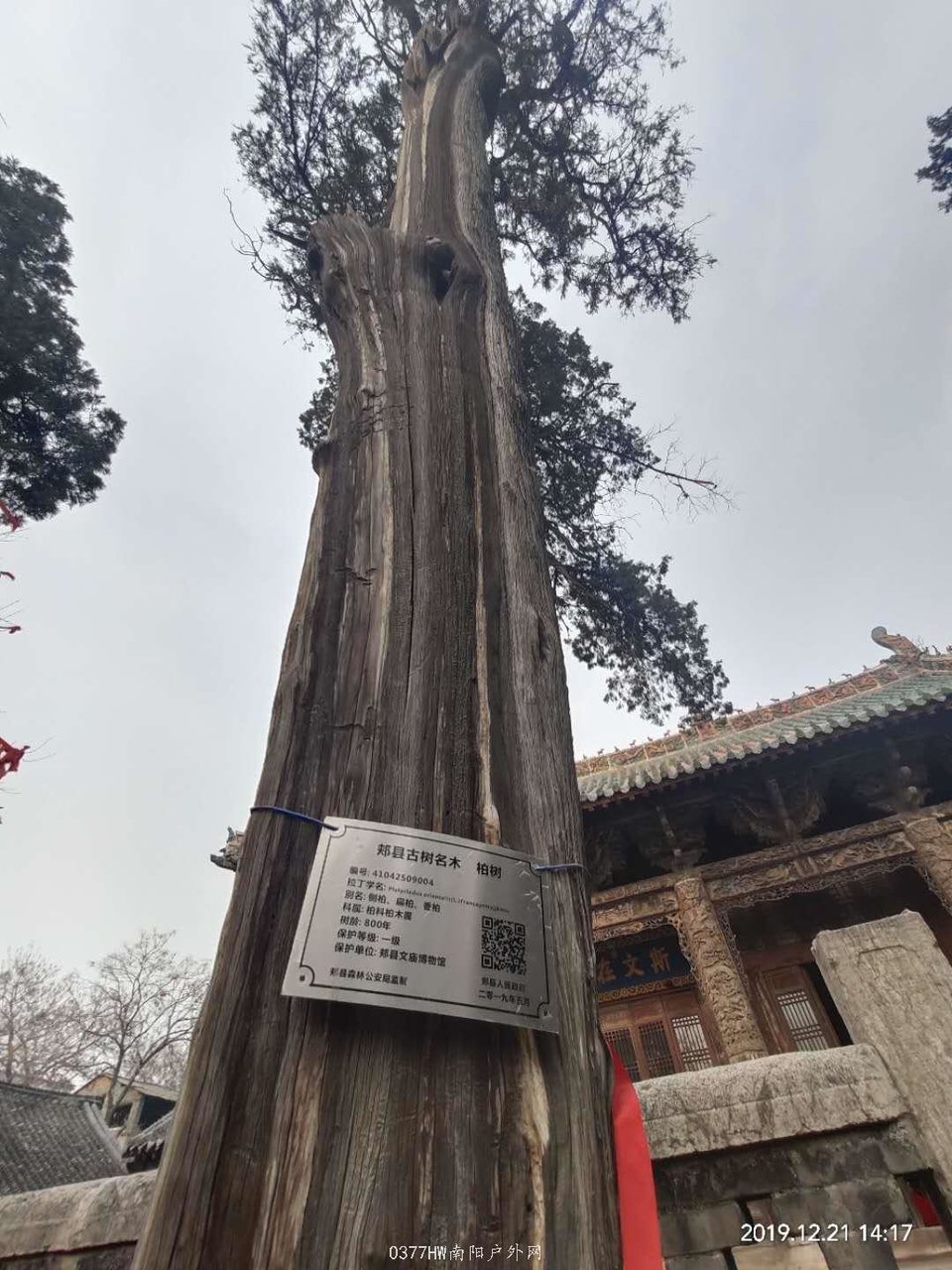 GVnYSlU13RZopYrL5EDAdvWswKkIbCVV7bk_SGNOtuzykwNDkkSjIdQvGj7pc1Ck