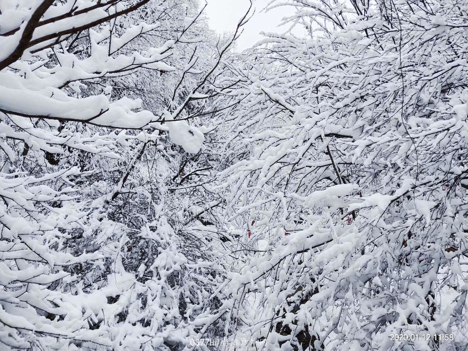 qG5B2ah-XuxiIYoOYymZoq-KploFLq7O7gh7m8052zW4Oe-KP1RRBzj1VK2gviq-