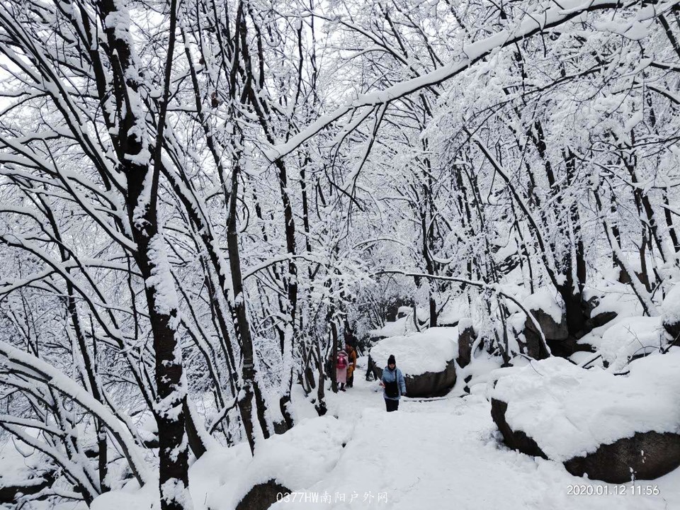 V-ftmn3ikhKO_KRjWgG-MpCU_uSHSsjJM4F62TuOxqS5YzBo7d1lvM_1st_MJfDR