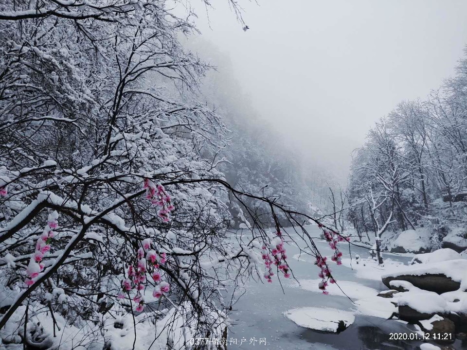 0LA0VxVUHQZJoEQt7-uLYmkG_oFzlTUmwOM1BBJnVWdTD5n43OumPU4Mor_1_Yrk