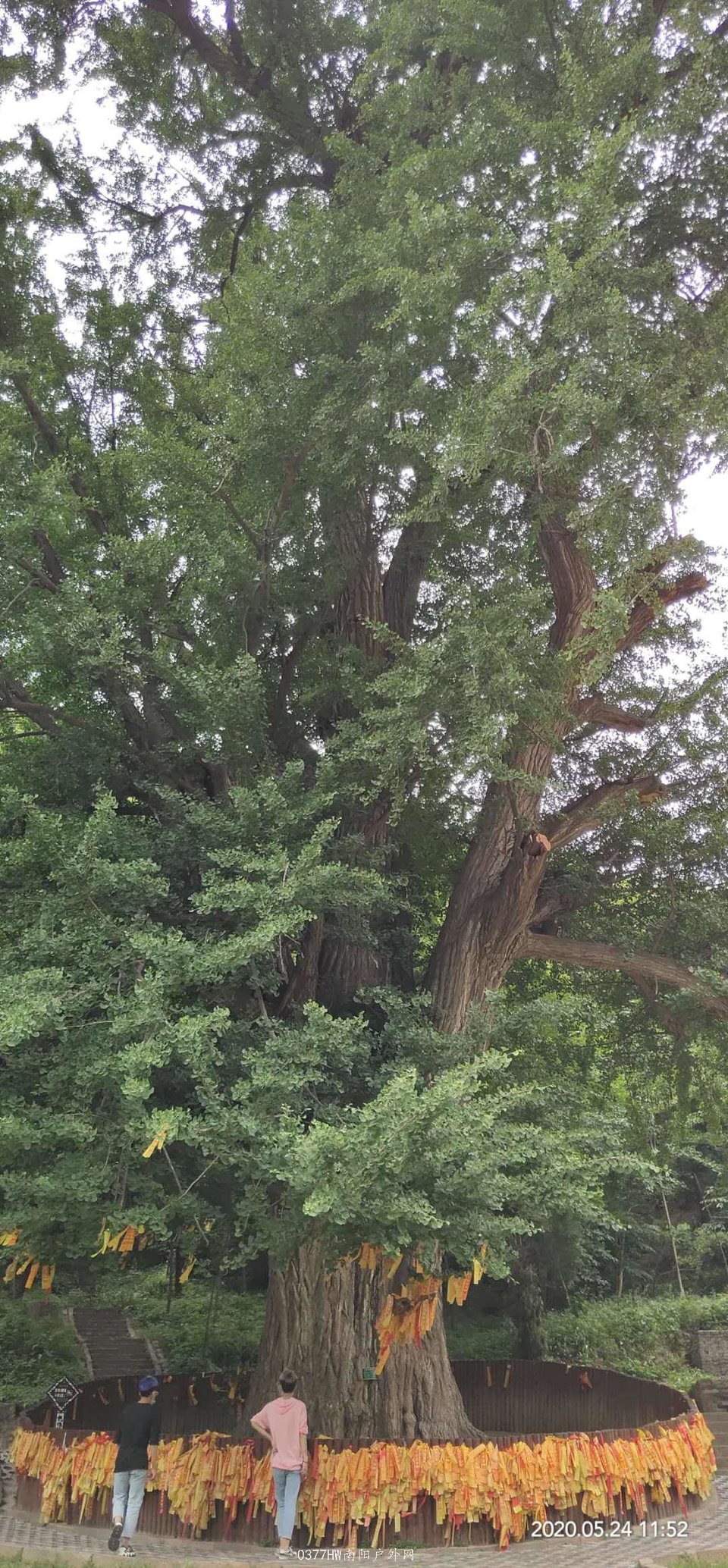 a9oB15XkEPp5Nn7d9ZjaAYHVgDWMEFDvie4AOlX_M-zW9KCyCo7T7NgBlWnVu4Iq